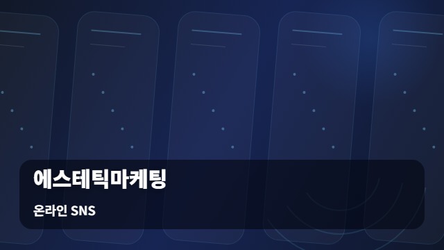 온라인 SNS 에스테틱마케팅 에스테틱마케팅, 채널별 예산 배분과 비용 효율성 비교하기 대표 이미지